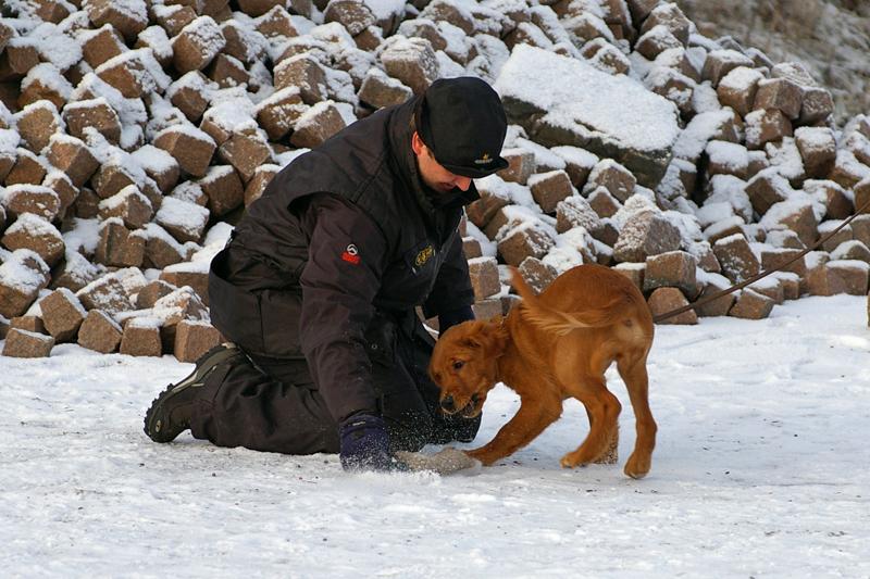 Soveltuvuustesti (52).jpg